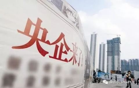 浙江鹽業改革最新消息，邁向高質量發展的關鍵一步