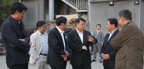 延安楊霄的最新消息，成長、變革與未來的展望