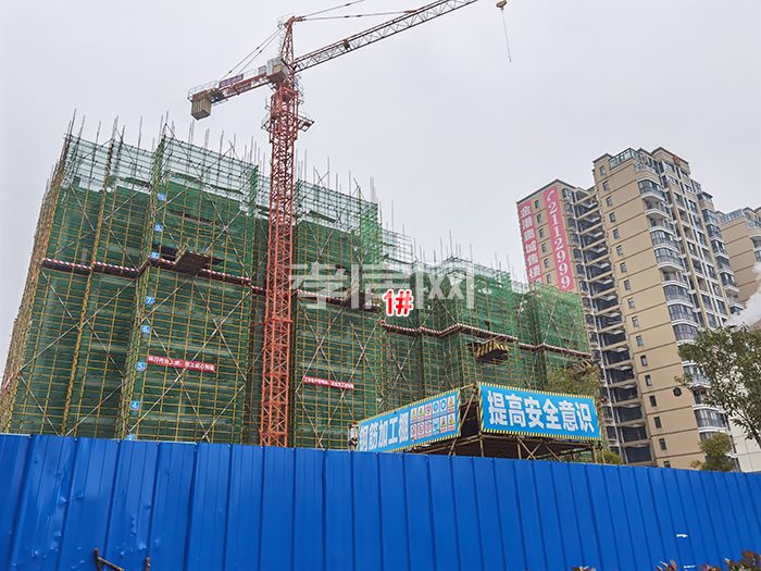 周景若彬 第16頁