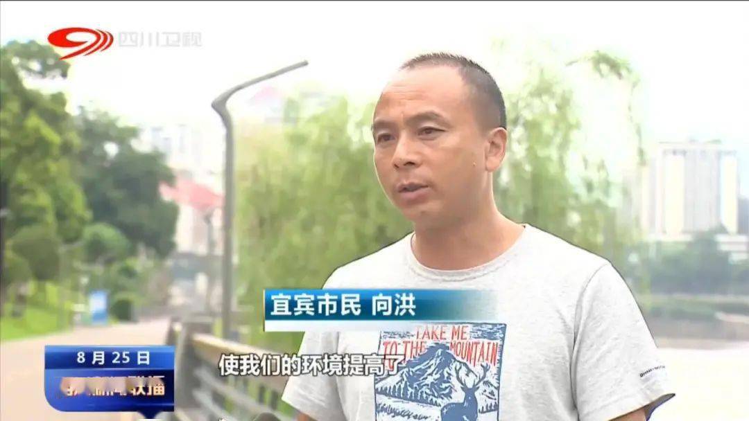 四川省環(huán)保督察最新動態(tài)，推動綠色發(fā)展的堅定步伐