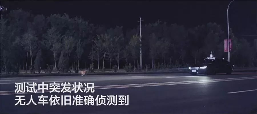 商臨程乙舒最新章節(jié)，錯綜復(fù)雜的商業(yè)世界中的新篇章