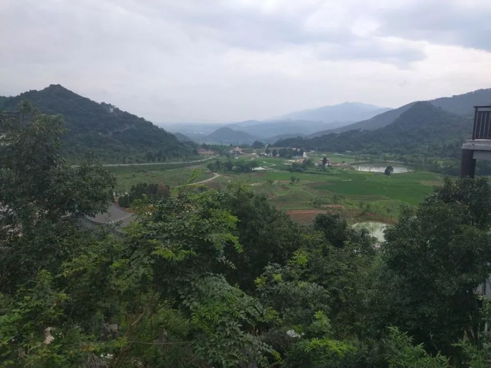 全州大碧頭最新消息，發展動態與前景展望