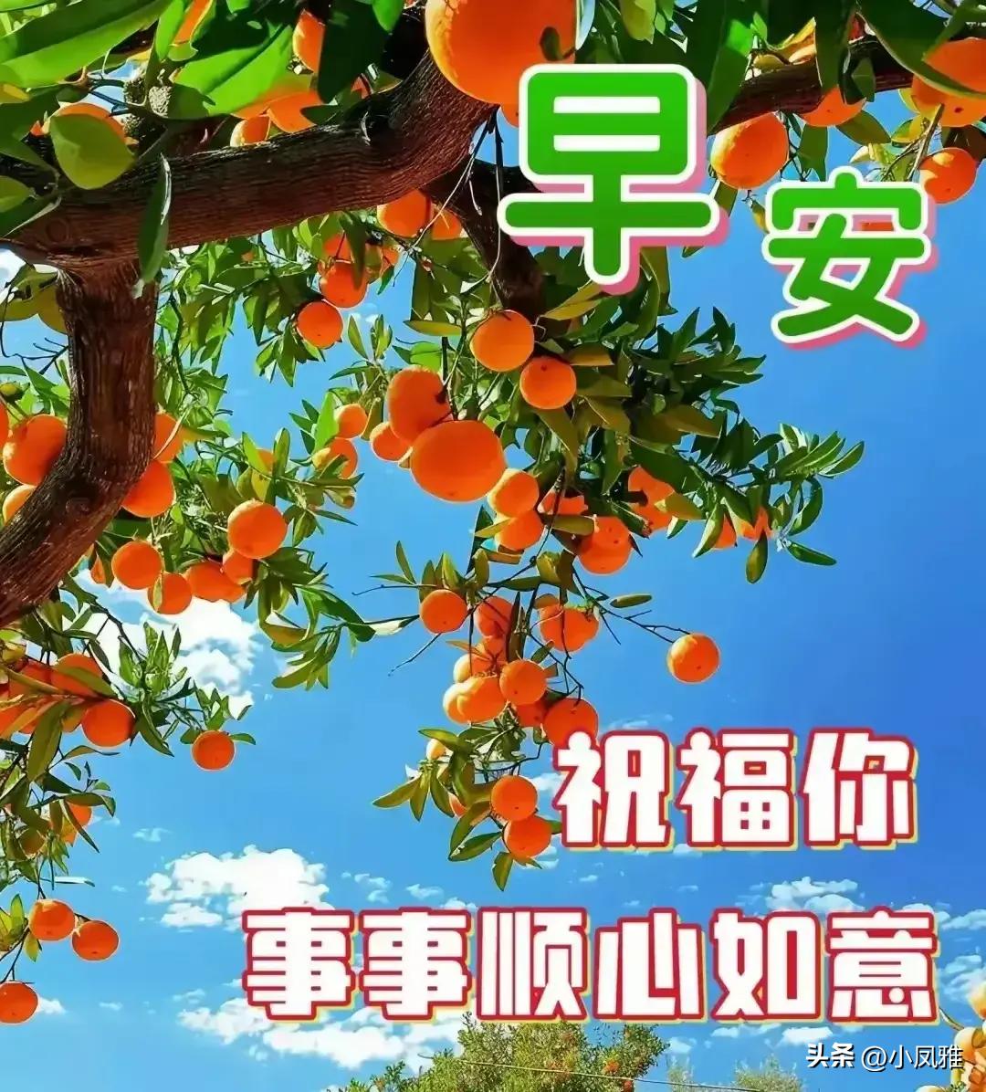 2024年天天彩資料免費大全,方案探討解答解釋現象_4K型28.101