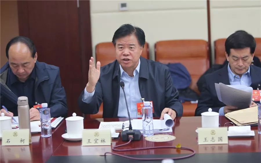 王宜林問題最新消息全面解析