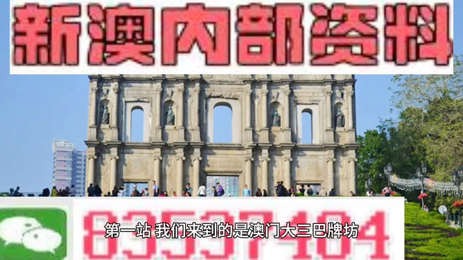 新澳門正版免費(fèi)資料怎么查,經(jīng)典方案解析解讀_傳統(tǒng)款53.038