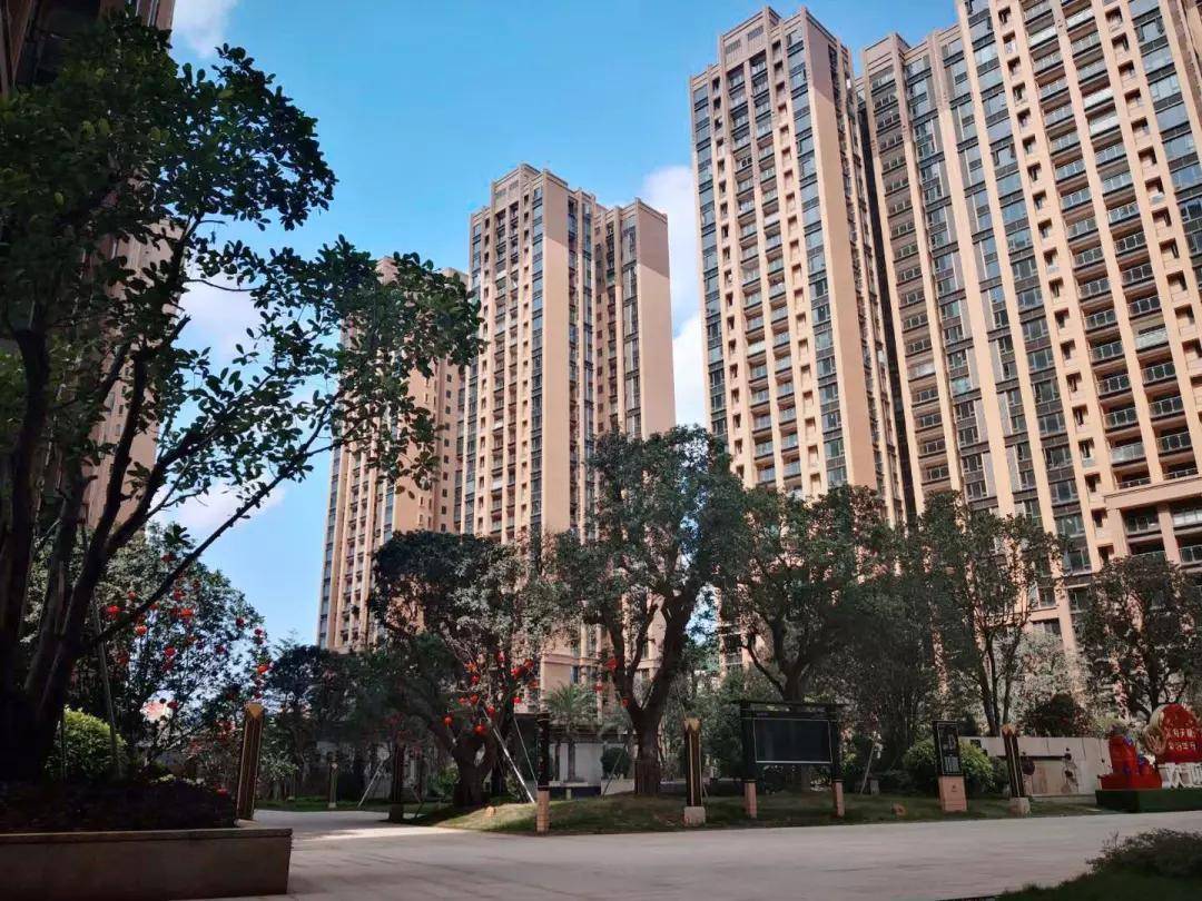 2024新奧資料免費精準109,實際解答解釋落實_探索款,創(chuàng)新策略執(zhí)行落實_TP26.375