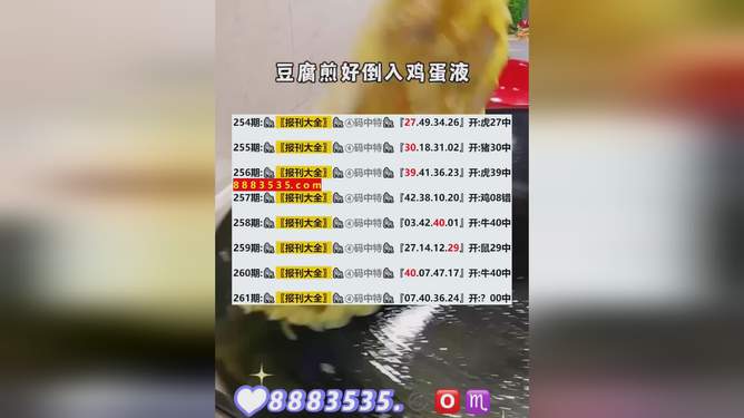 2024新澳最新開獎結果查詢,實地分析考察數據_個人版99.862