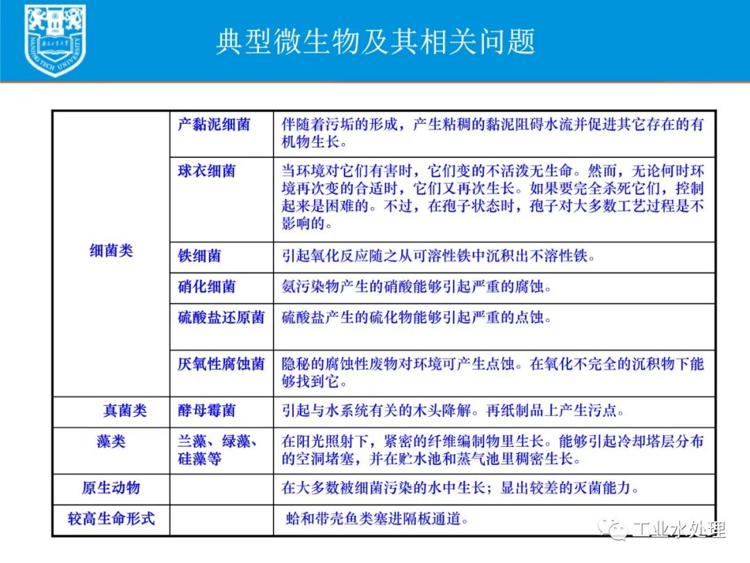 2024管家婆一肖一特,定性解析評估方案_教師集36.132