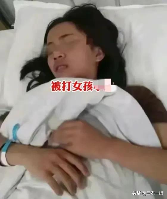 最新沈陽事件深度解析