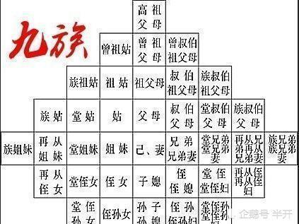 2024正版資料免費公開,權術解答解釋落實_組件款55.983