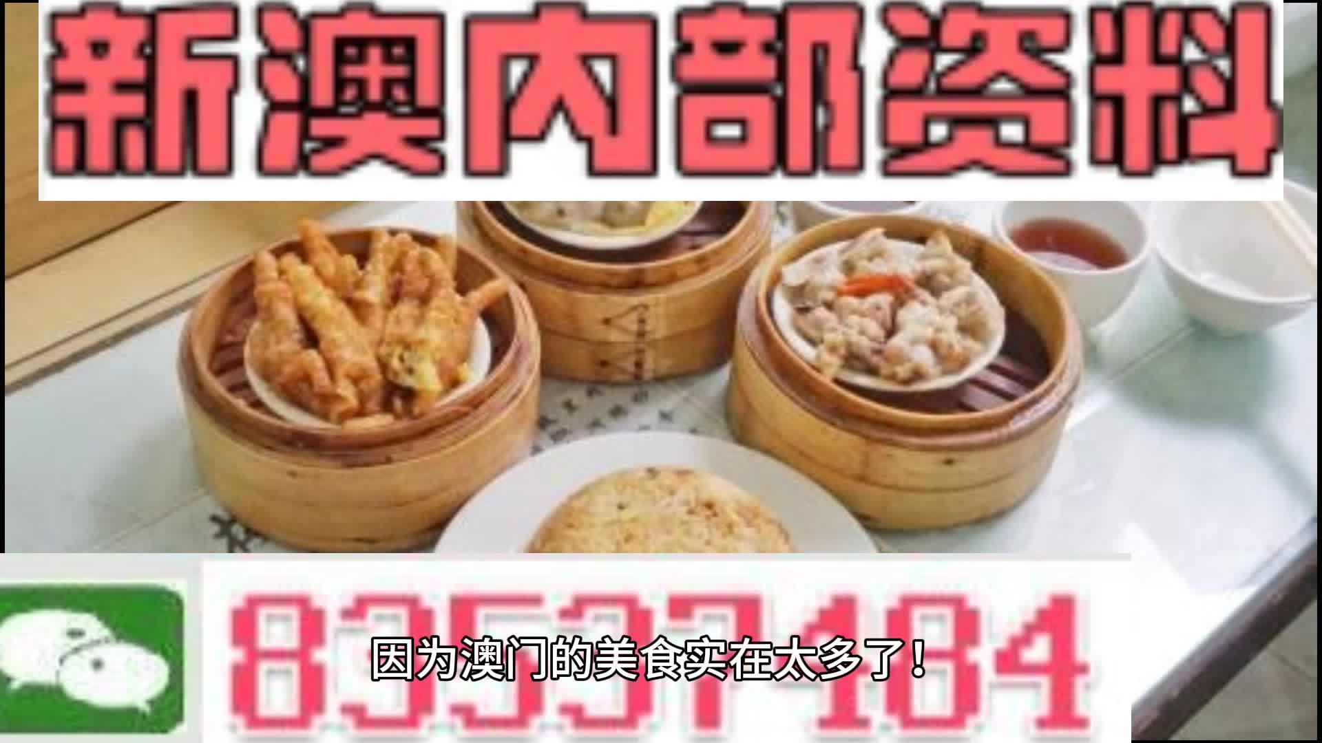新澳門資料大全正版資料2024年免費下載,家野中特,廣泛討論落實方案_探索款90.336