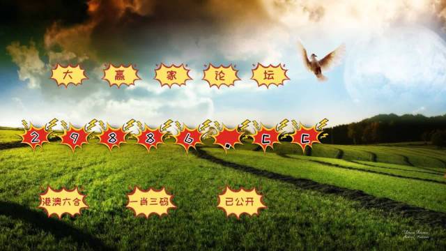 澳門六開獎結果2023開獎記錄查詢網站,實地分析解釋定義_機動制6.435
