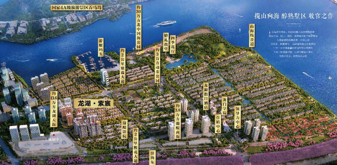 牟平最新資訊概覽