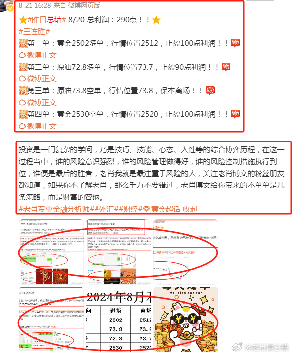 澳門管家婆，揭秘精準預測的神秘面紗