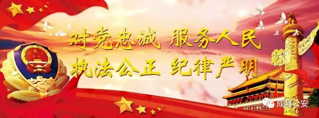 澳門一肖一碼一必中一肖與雷鋒，違法犯罪問題的探討