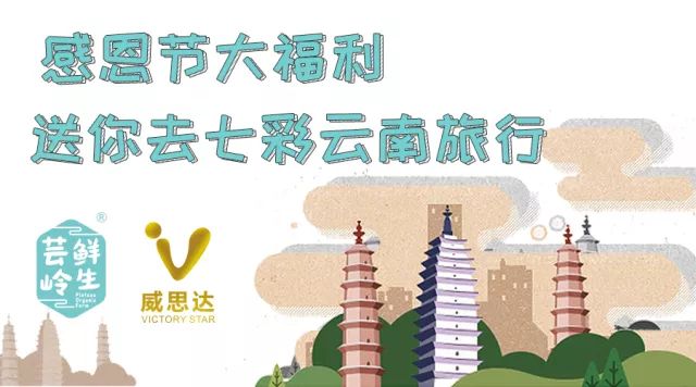 探索正版免費資料，2024天天彩的魅力與價值