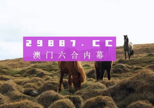 澳門今晚開獎記錄，探索與期待