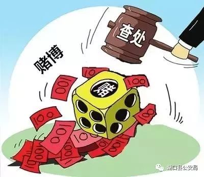澳門一肖一碼背后的犯罪問題，揭示真相與警示公眾