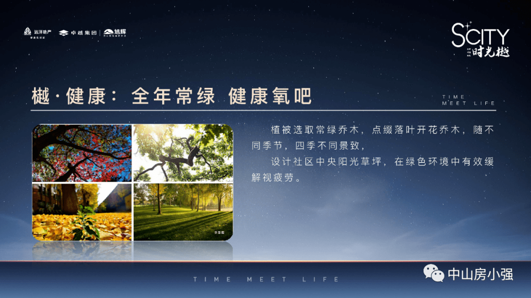 管家婆必出一中一特，深度解析與探索