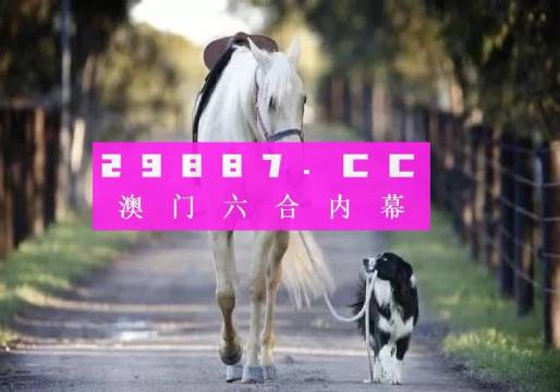新澳2024年精準一肖一碼，探索未來彩票預測的奧秘