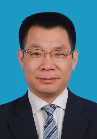 探索新奧資料免費圖庫，揭秘2024年全新資源盛宴的奧秘與魅力
