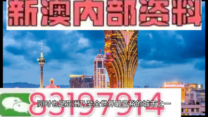 新澳門資料大全正版資料，深度解讀與探索