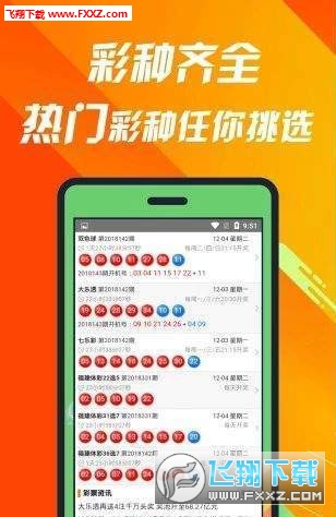王中王493333中特1肖，探尋神秘數字背后的故事