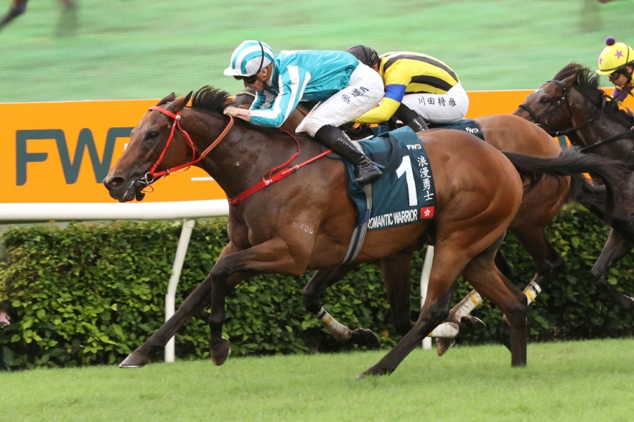 香港2024年最準馬資料免費，探索賽馬運動的魅力與最新資訊