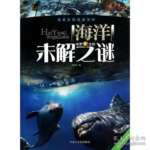 探索新澳資料正版免費資料的海洋，一場知識的盛宴之旅