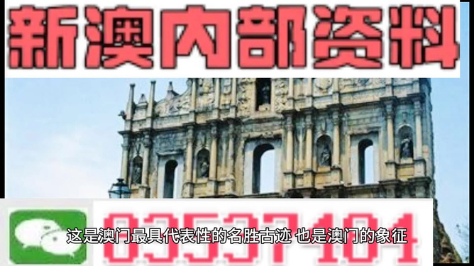 關于新澳門2024年正版免費公開，一個關于犯罪與法律的話題
