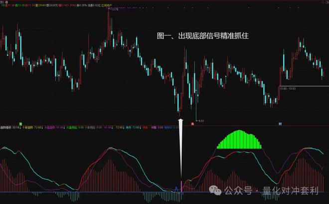 新澳精準資料大全，深度解析與實際應用