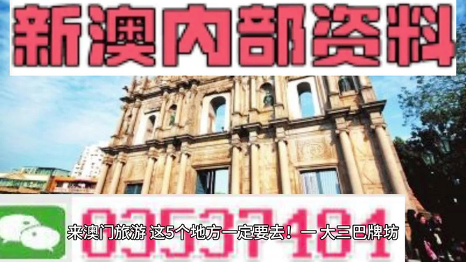 新澳門最精準正最精準龍門，探索與解析