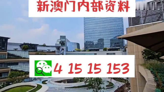 新澳門特免費資料大全管家婆，探索澳門的新面貌與實用資訊