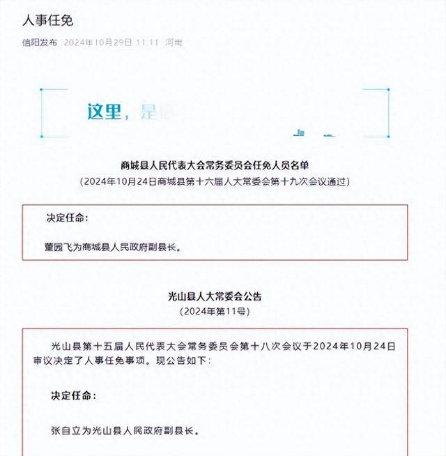 光山最新人事任免動態