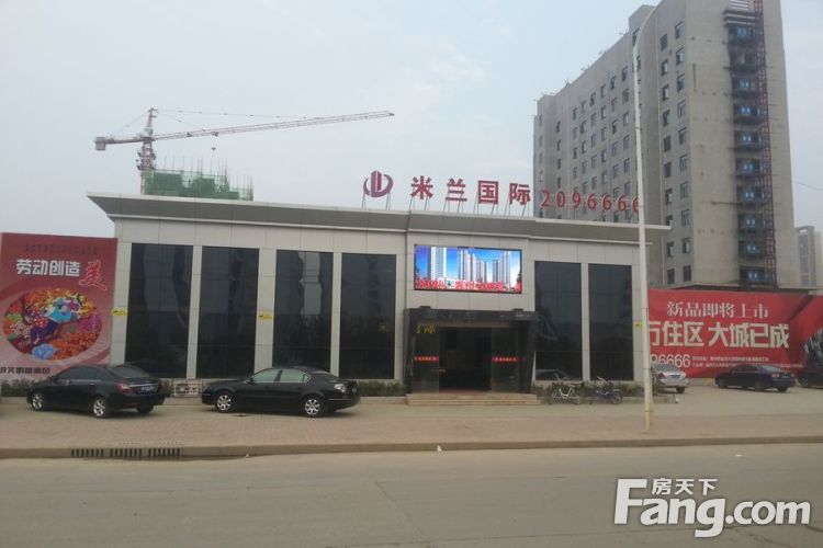 泗陽米蘭最新價格報價深度解析