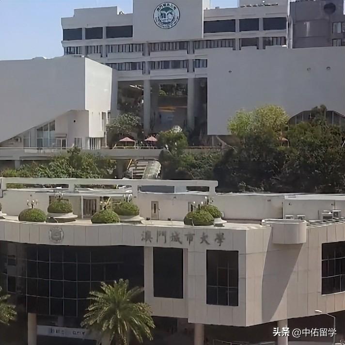 澳門正版免費資源在2024年的新展望