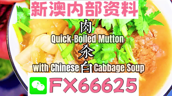 管家婆一碼一肖一種大全，揭秘神秘預(yù)測背后的故事