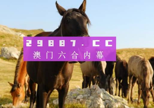澳門管家婆一肖一碼一中一，探索與解析