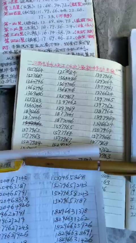 精準一肖一碼一子一中，探尋預測之道的神秘面紗