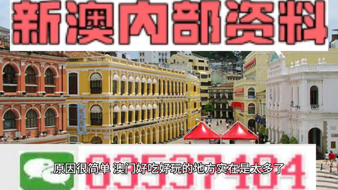 澳門最準的資料免費公開，探索真實與信息的交匯點