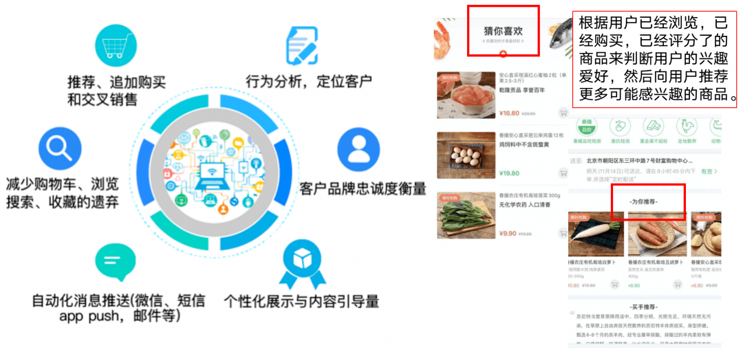 新奧天天精準資料大全，深度解析與實際應用