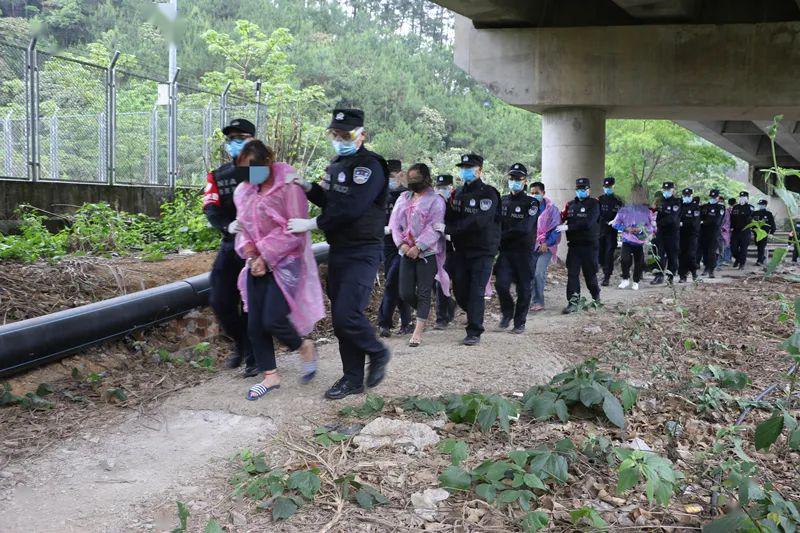 關(guān)于澳門彩票走勢(shì)圖與違法犯罪的思考