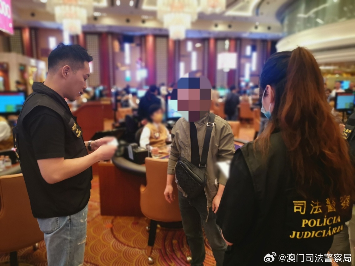 關于澳門游戲資訊，2024澳門精準正版免費大全的探討——警惕違法犯罪問題
