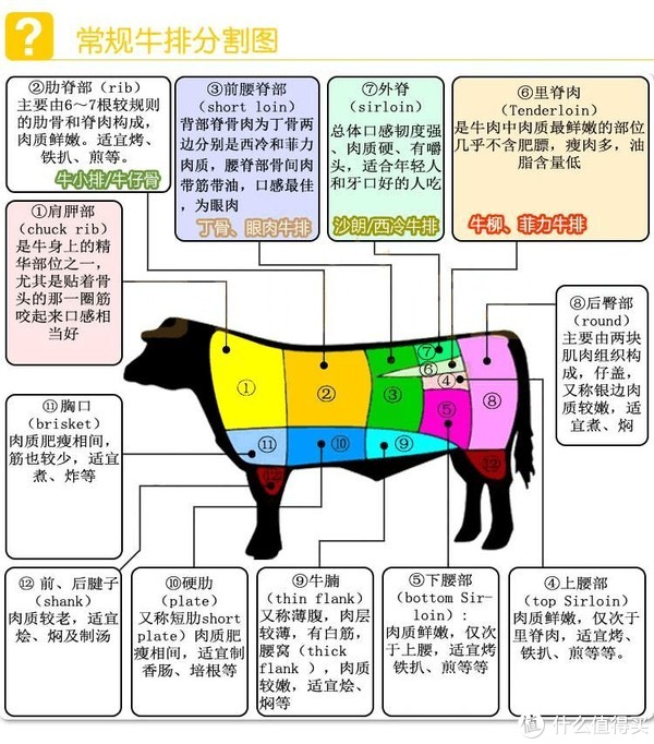 探索最新牛肉分割圖，專業解讀與實用指南
