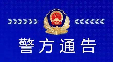 關于新澳門正版免費大全的違法犯罪問題探討