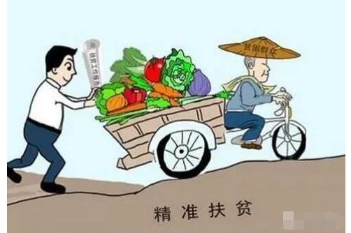 探索正版精準跑狗圖，77777與88888的神秘魅力