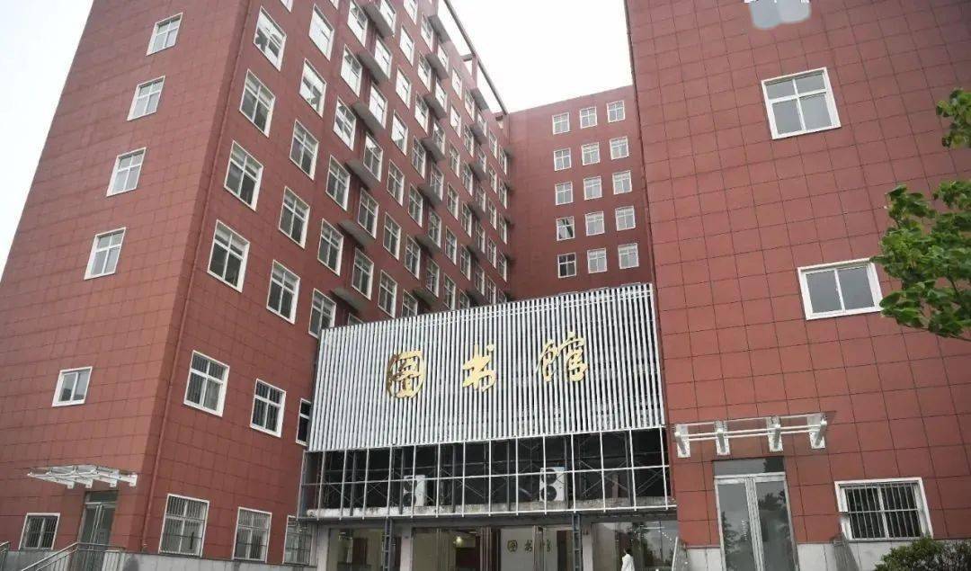 武功物流最新招聘，探索物流行業(yè)的未來之星