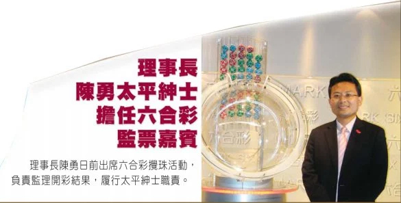 揭秘2024年香港彩票開獎(jiǎng)記錄，歷史數(shù)據(jù)與未來展望