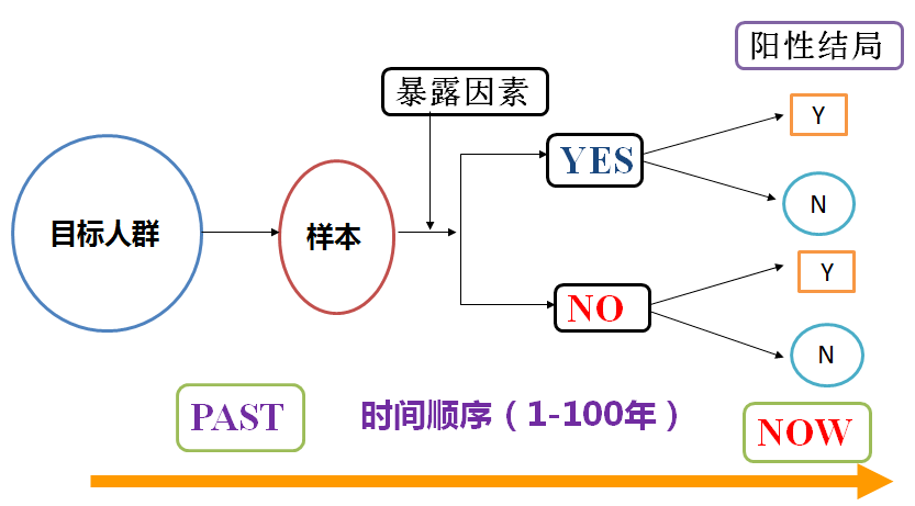 澳門天天開好彩，回顧與反思