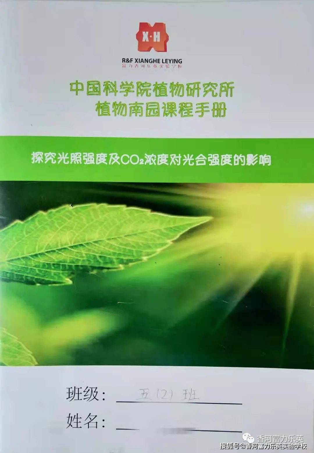 劉百溫精準(zhǔn)免費(fèi)資料大全，探索與啟示